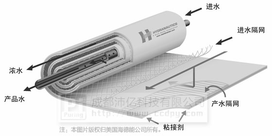 反滲透膜剖面圖