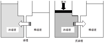 反滲透原理圖